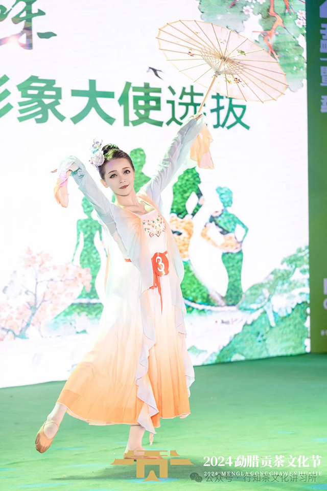 2024年度勐腊贡茶文化节形象大使
