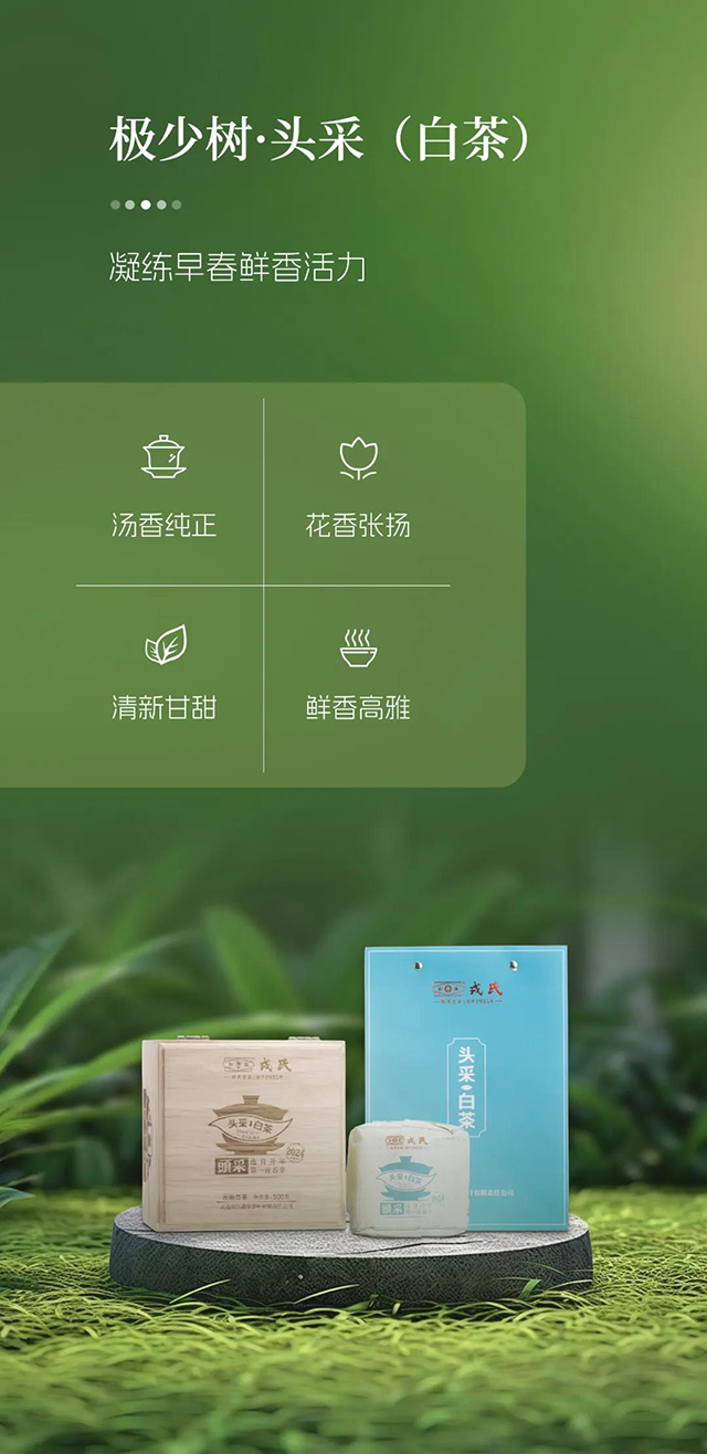 勐库戎氏云南白茶