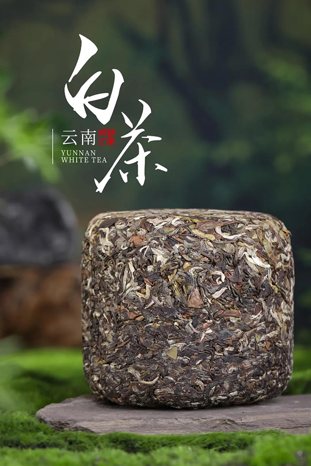 勐库戎氏云南白茶