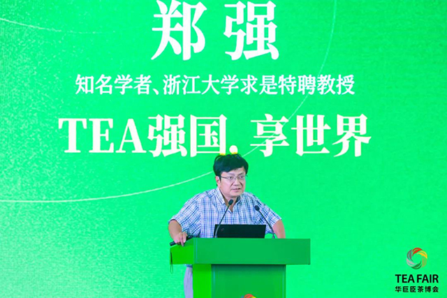 深圳茶博会