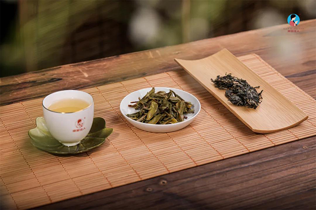 景迈古树春茶叶底