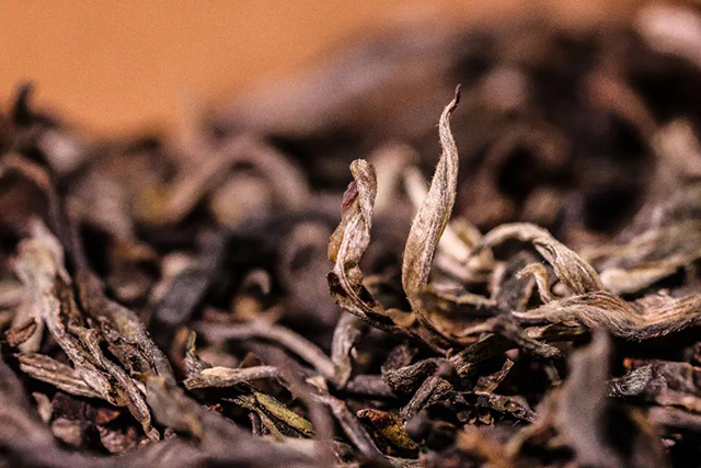 正皓茶景迈山纯料品质特点