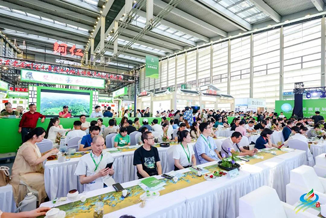 2024年深圳茶博会圆满闭幕