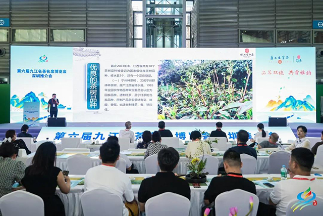 2024年深圳茶博会圆满闭幕