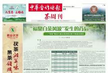 【白茶专题①】是“卷”还是“飘”？白茶风波大揭秘！