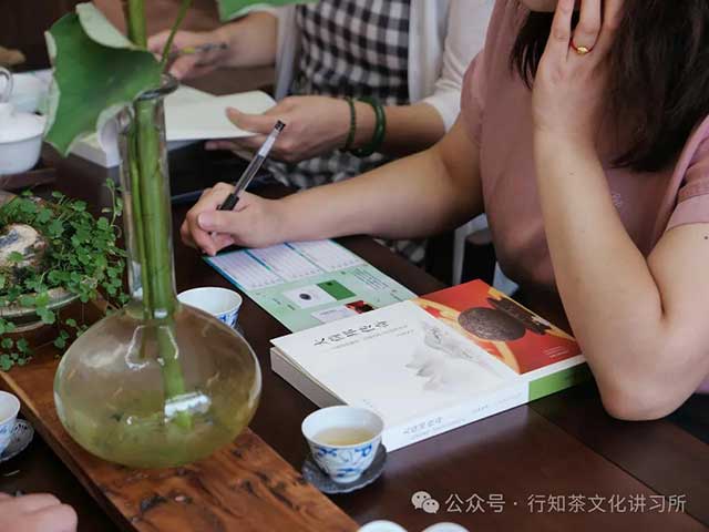马哲峰大倚邦传奇