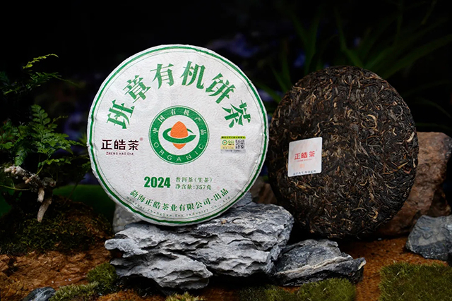 正皓茶2024班章有机饼茶品鉴详情