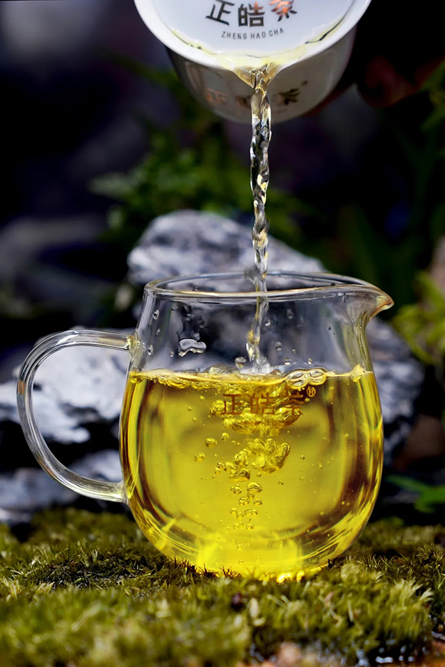 正皓茶2024班章有机饼茶品鉴详情