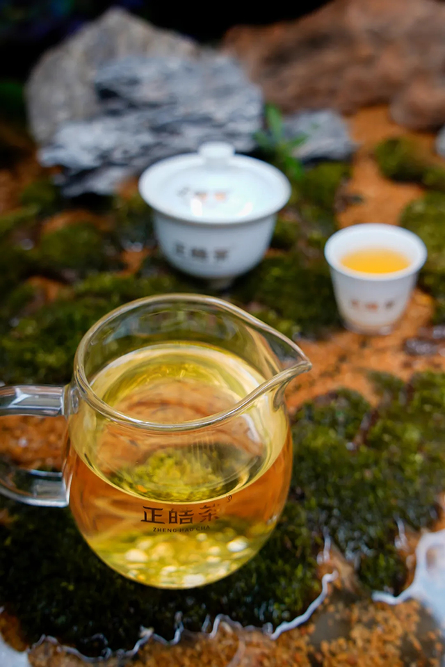 正皓茶2024班章有机饼茶品鉴详情