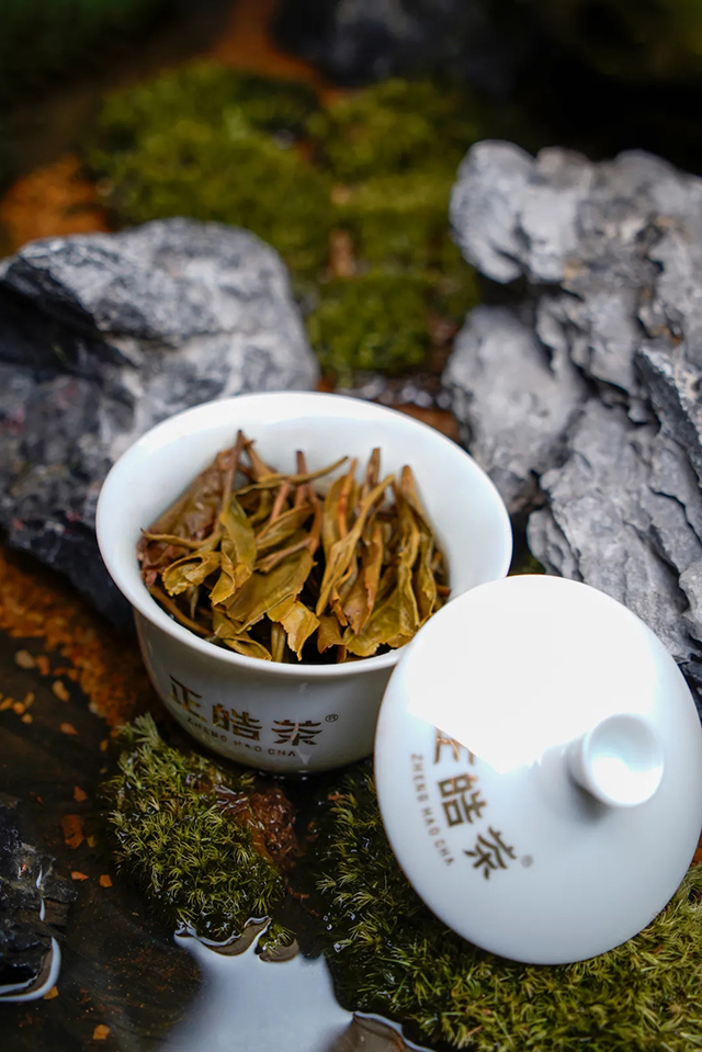 正皓茶2024班章有机饼茶品鉴详情