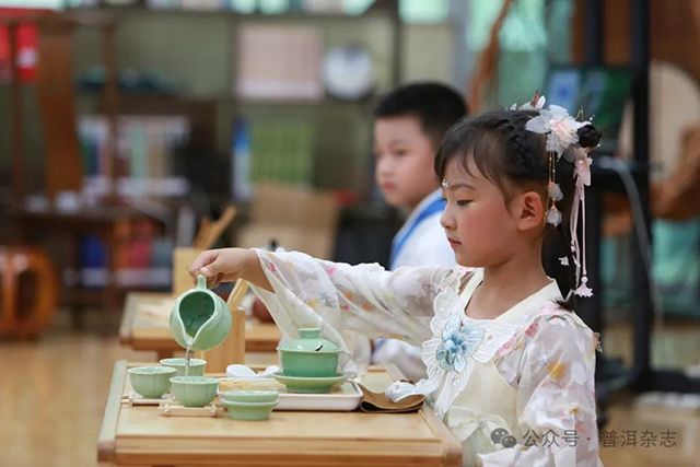 二十六颗茶籽