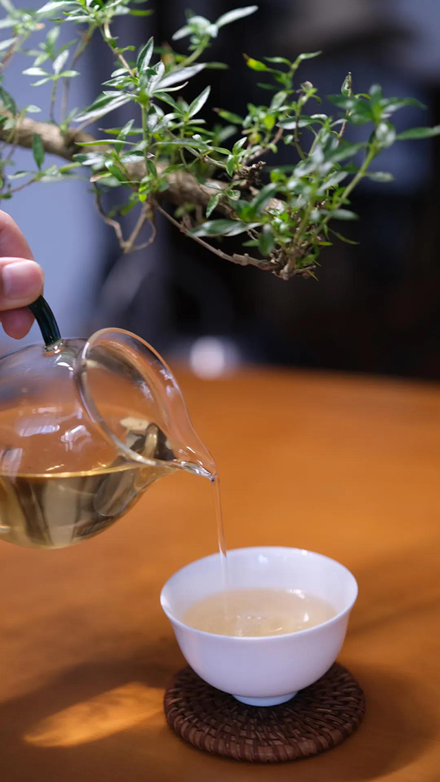 彤掌柜普洱茶