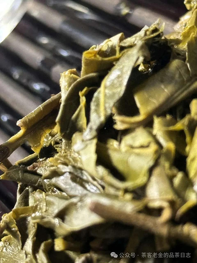 茶客老金小树茶会