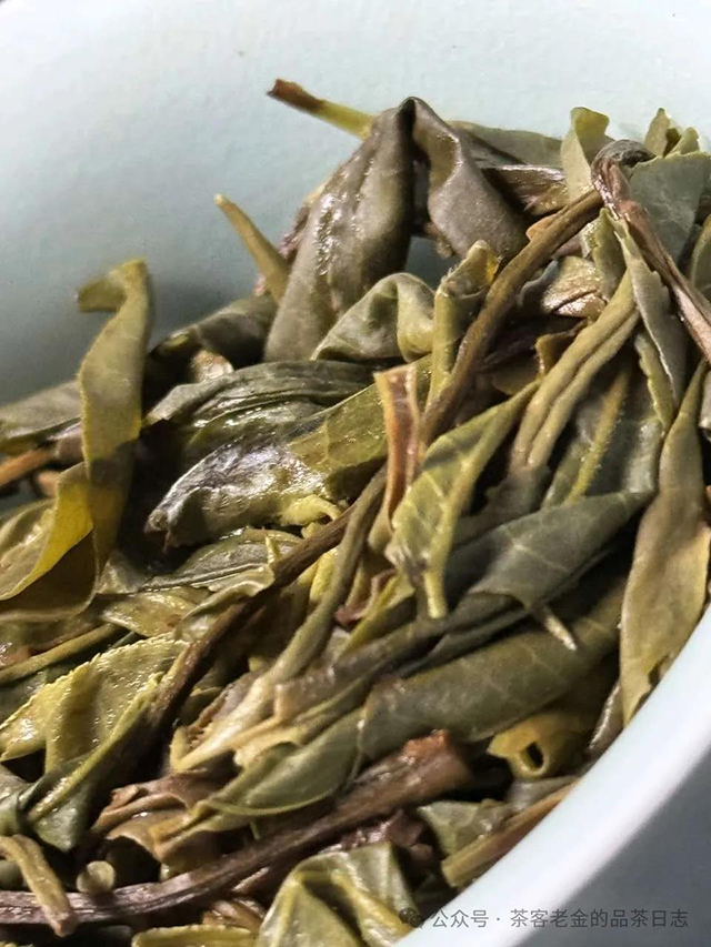 茶客老金小树茶会