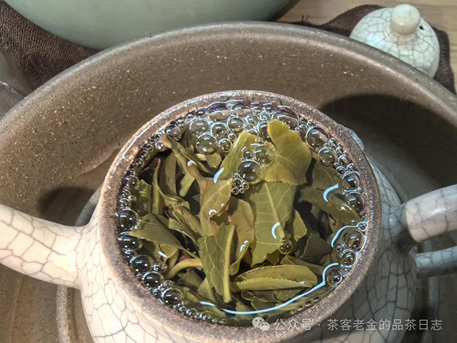 流星赶月普洱茶2024年倚邦皇太后普洱茶品质特点