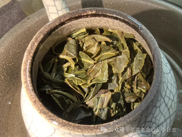 流星赶月普洱茶2024年倚邦皇太后普洱茶品质特点