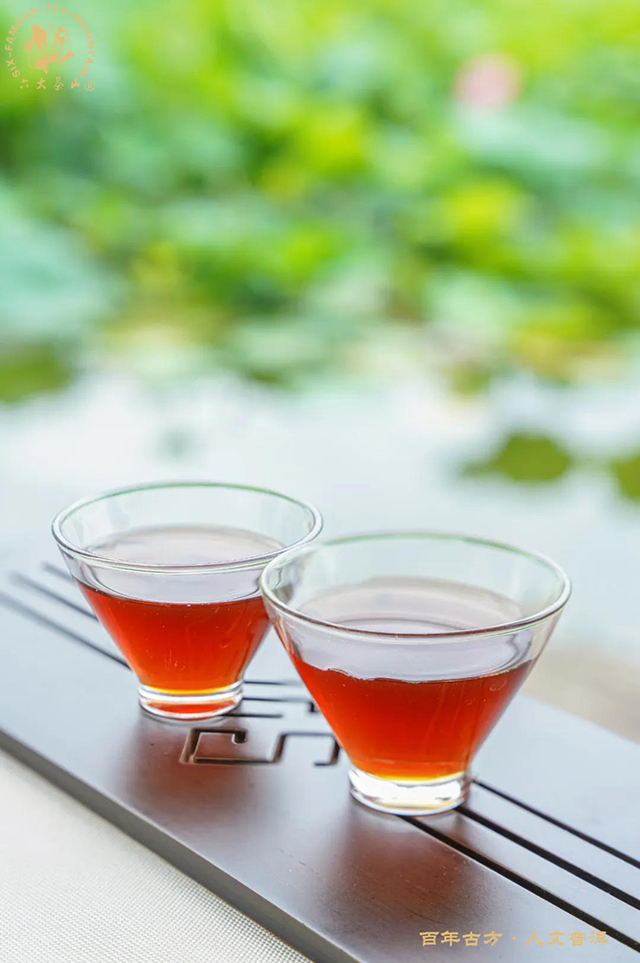 六大茶山龙韵金芽熟茶品质特点