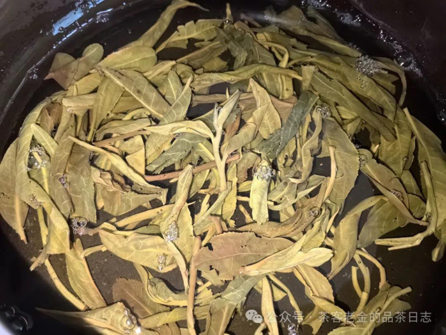 2023年老班章十三钗普洱茶品质特点