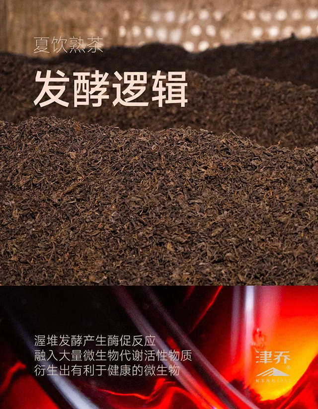 津乔普洱熟茶