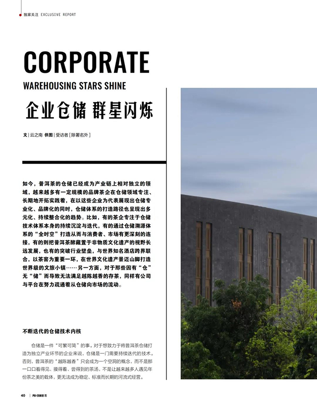 普洱杂志