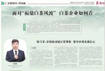 【白茶专题⑤】市场预期乐观白茶热有望卷土重来？