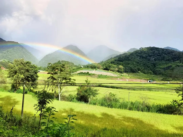 易武镇张家湾村
