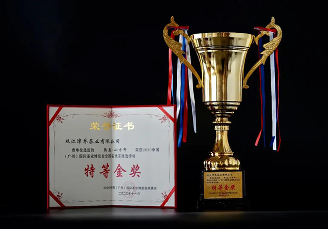 津乔普洱