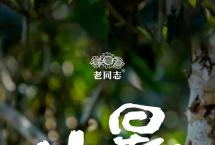 小暑|瓜果飘香，浮瓜沉李