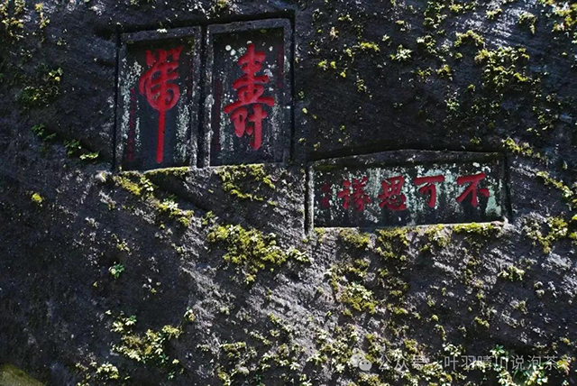 叶羽晴川说泡茶正岩茶会