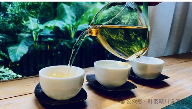 叶羽晴川说泡茶