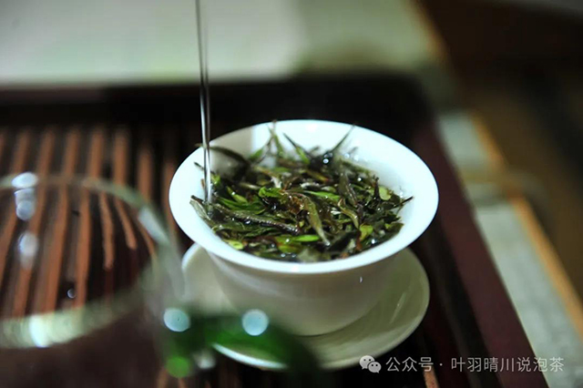 叶羽晴川说泡茶