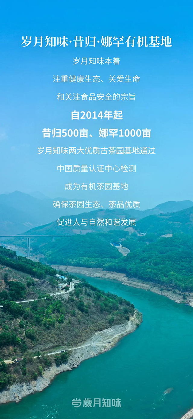 岁月知味2024五星昔归五星金娜罕