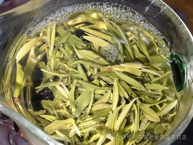 2024年黄山毛峰两款顶级绿茶品质特点