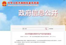 【关注】农业农村部推出夏秋季茶叶生产技术指导意见
