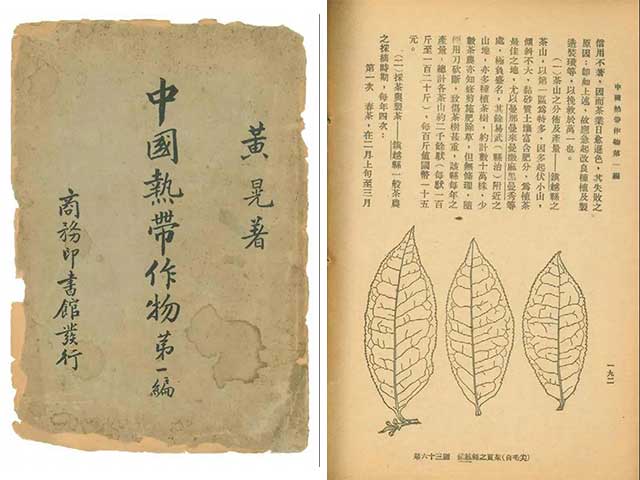 普洱杂志