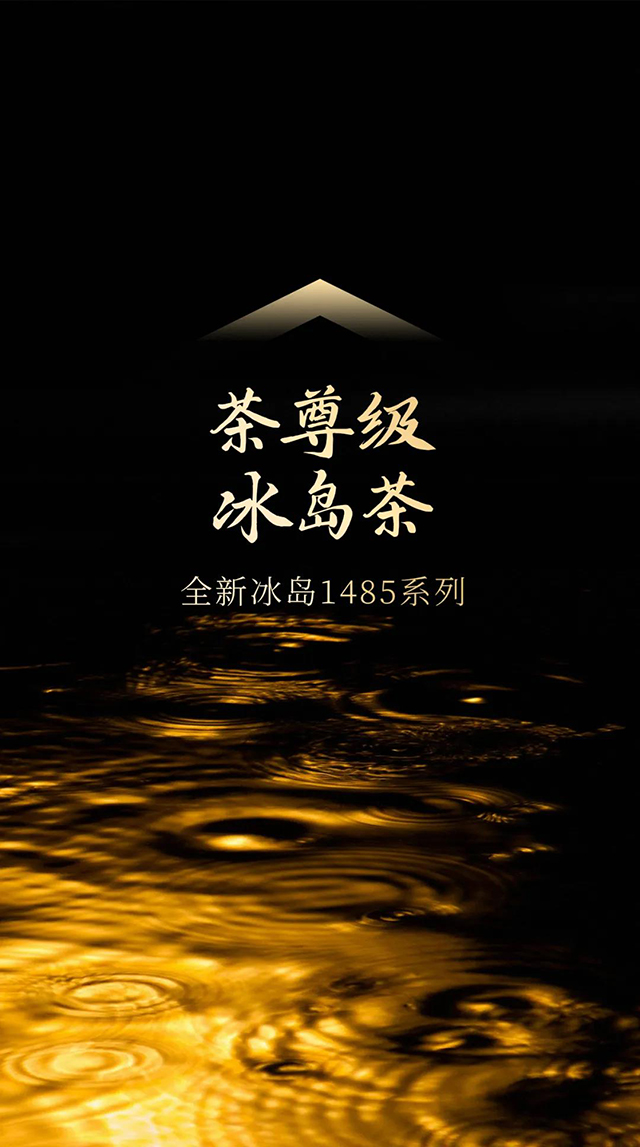津乔普洱津乔冰岛1485