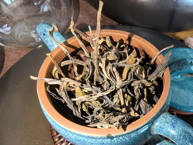 陈永珍2024年弯弓古树普洱茶品质特点