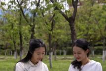 穿越千年|茶文化的演变与传承
