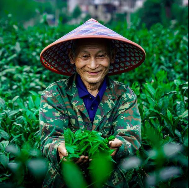 祥源茶