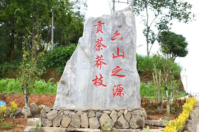 康熙年间的普洱茶事