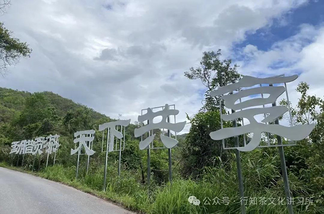 康熙年间的普洱茶事