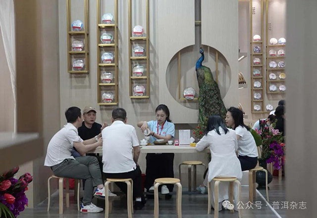 普洱杂志