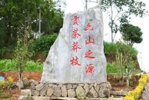 吴三桂的政治遗产：康熙年间的普洱茶事