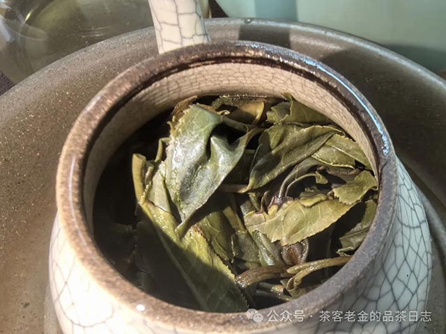 吾茶共饮2024年高杆普洱茶