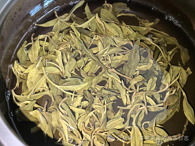 2024年大黑树林茶王树二春普洱茶品质特点