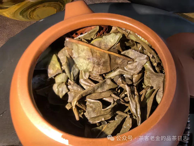 旺其火气黄山老白茶品质特点