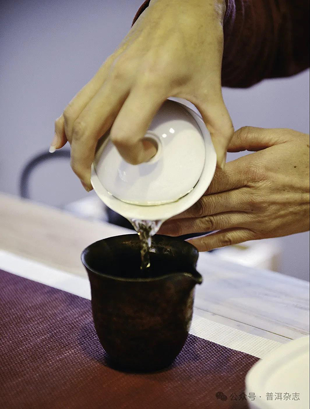 普洱茶冲泡