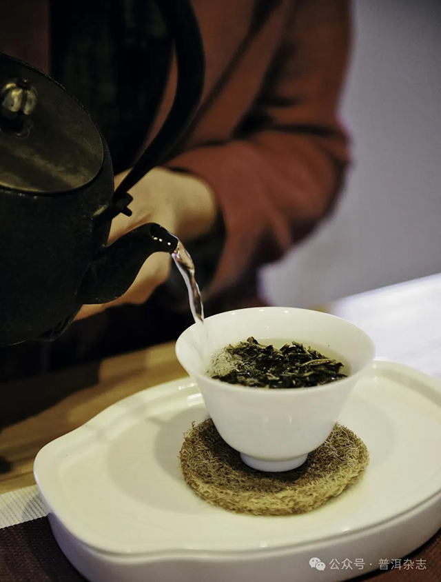 普洱茶冲泡