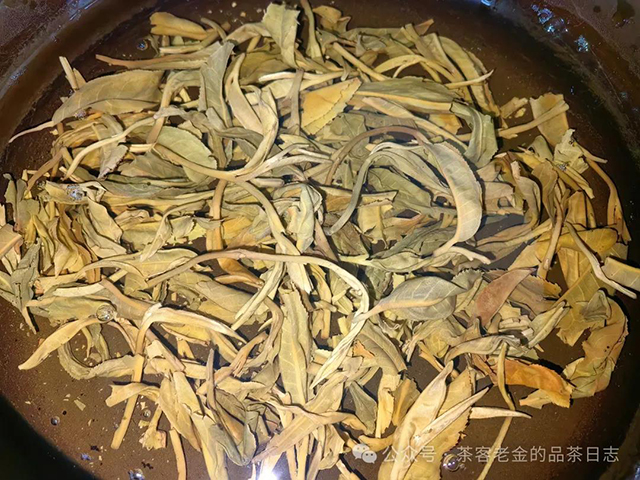2019年老班章古树普洱茶品质特点