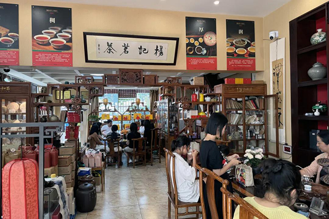 合和昌三载朝阳普洱茶